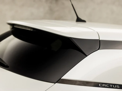 Citroën C4 Cactus - Afbeelding 26 van 30