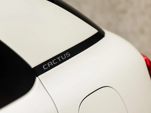 Citroën C4 Cactus - Afbeelding 27 van 30