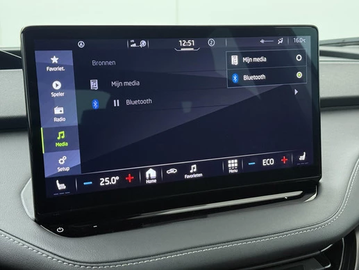 Škoda Enyaq Coupe - Afbeelding 17 van 30