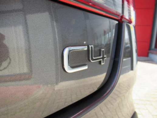 Citroën C4 Cactus - Afbeelding 10 van 30