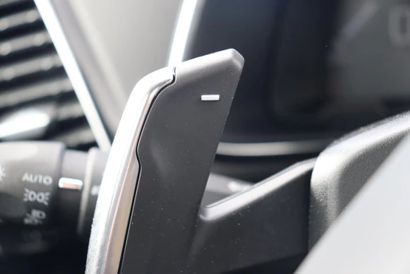 DS DS 7 - Afbeelding 14 van 30