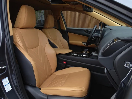 Lexus NX - Afbeelding 17 van 30