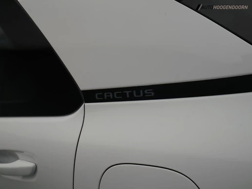 Citroën C4 Cactus - Afbeelding 8 van 23