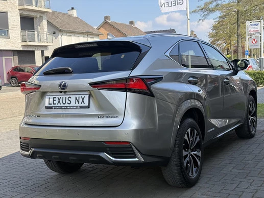 Lexus NX - Afbeelding 10 van 30
