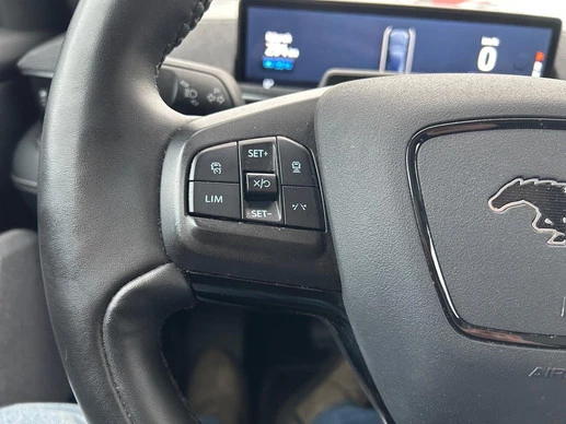 Ford Mustang Mach-E - Afbeelding 14 van 29