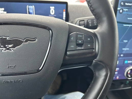 Ford Mustang Mach-E - Afbeelding 15 van 29