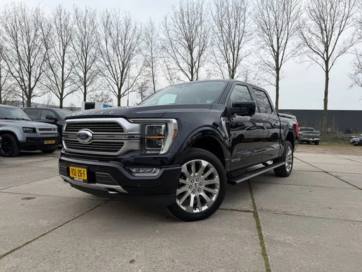 Ford F-150 - Afbeelding 1 van 30