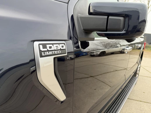 Ford F-150 - Afbeelding 14 van 30