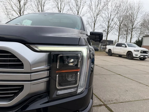 Ford F-150 - Afbeelding 15 van 30