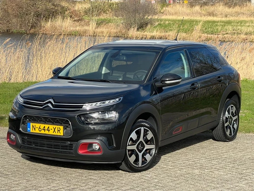 Citroën C4 Cactus - Afbeelding 2 van 25