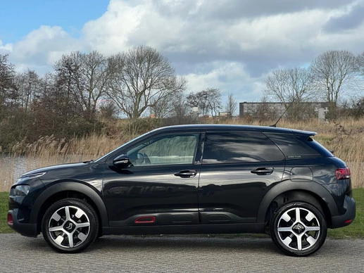 Citroën C4 Cactus - Afbeelding 16 van 25