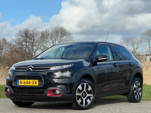 Citroën C4 Cactus - Afbeelding 17 van 25
