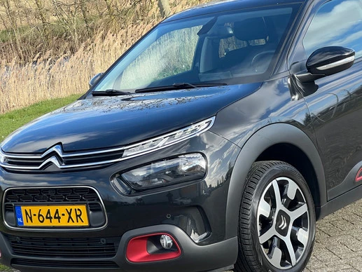 Citroën C4 Cactus - Afbeelding 18 van 25