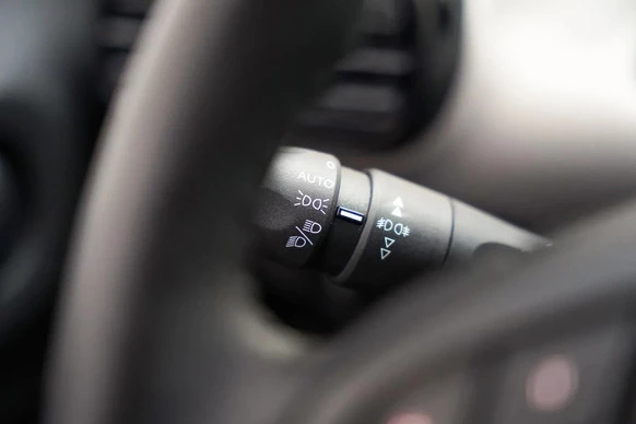 Citroën C4 Cactus - Afbeelding 23 van 30