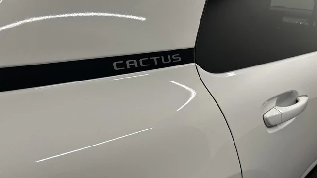 Citroën C4 Cactus - Afbeelding 18 van 30