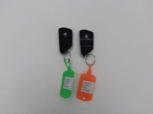 Škoda Enyaq iV - Afbeelding 14 van 30