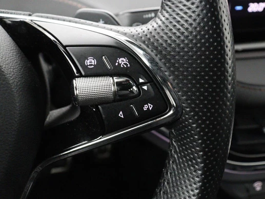 Škoda Enyaq iV - Afbeelding 20 van 30