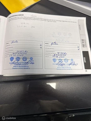 Alfa Romeo Giulia - Afbeelding 11 van 15