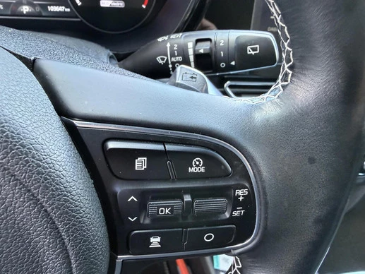 Kia e-Niro - Afbeelding 20 van 30