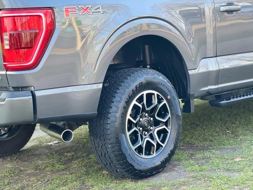 Ford F-150 - Afbeelding 6 van 25