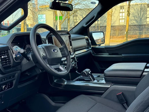 Ford F-150 - Afbeelding 10 van 25