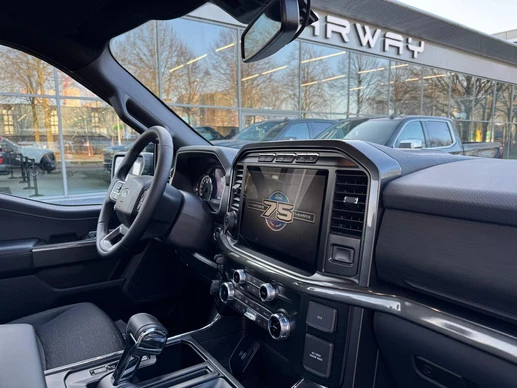 Ford F-150 - Afbeelding 21 van 25