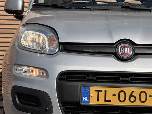 Fiat Panda - Afbeelding 8 van 30