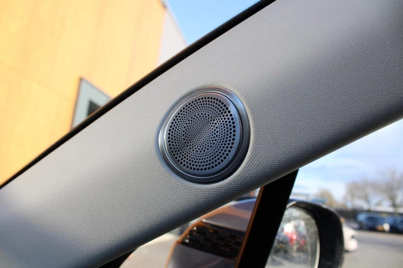 Hongqi E-HS9 - Afbeelding 18 van 27