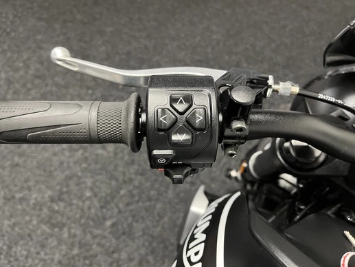Triumph Trident 660 - Afbeelding 21 van 22