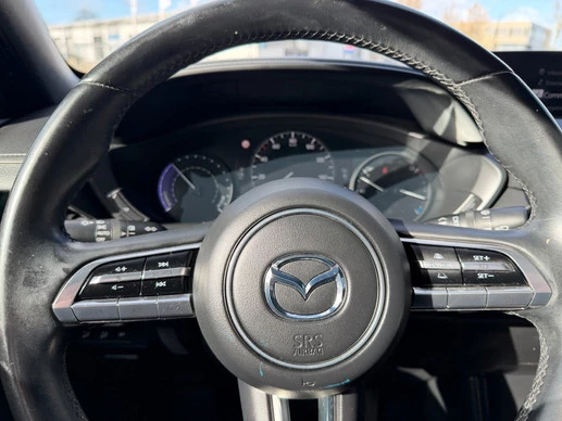 Mazda MX-30 - Afbeelding 15 van 23