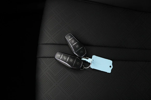 BYD ATTO 2 - Afbeelding 14 van 30