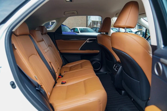 Lexus RX - Afbeelding 18 van 30