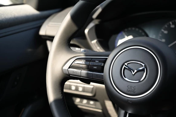 Mazda MX-30 - Afbeelding 16 van 29