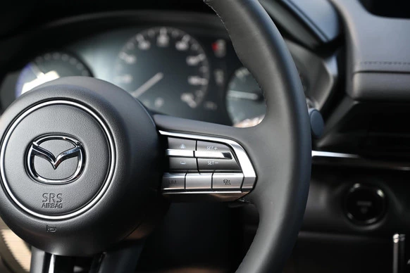 Mazda MX-30 - Afbeelding 18 van 29