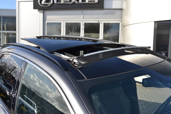 Lexus RX - Afbeelding 15 van 30