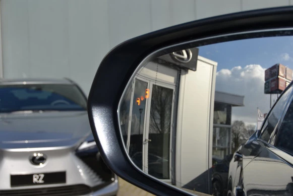 Lexus RX - Afbeelding 21 van 30