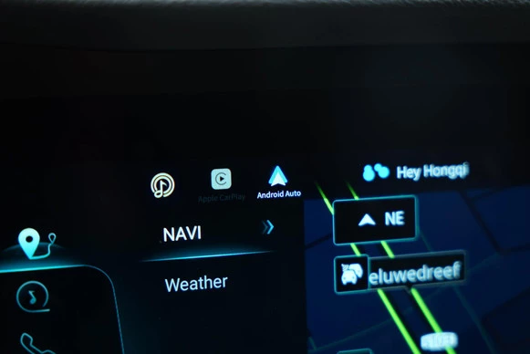 Hongqi E-HS9 - Afbeelding 25 van 30