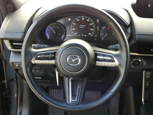 Mazda MX-30 - Afbeelding 16 van 28