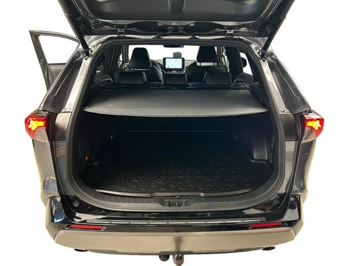 Toyota RAV4 - Afbeelding 10 van 30
