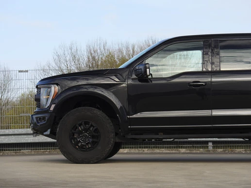Ford F-150 - Afbeelding 3 van 30