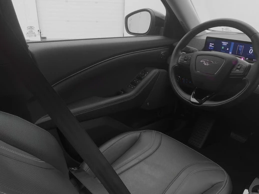 Ford Mustang Mach-E - Afbeelding 12 van 30