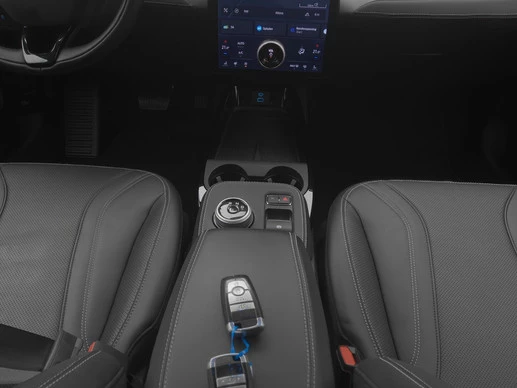 Ford Mustang Mach-E - Afbeelding 13 van 30