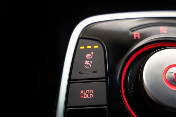 Kia e-Niro - Afbeelding 11 van 30