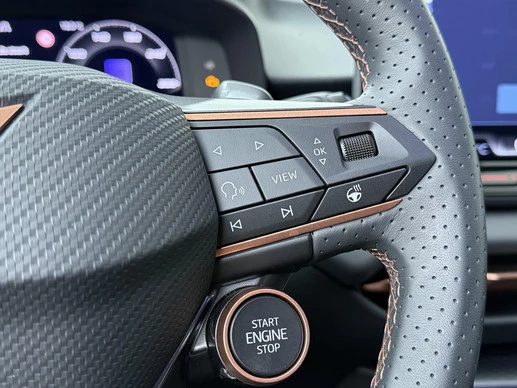 CUPRA Terramar - Afbeelding 9 van 30