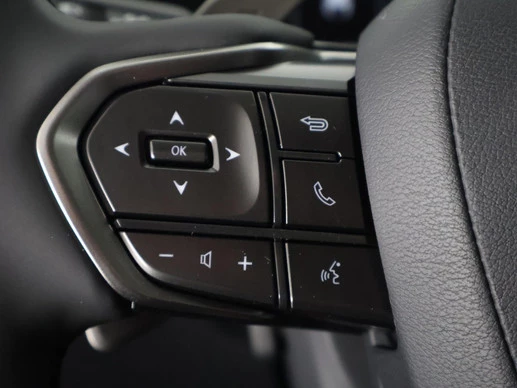 Lexus RZ - Afbeelding 10 van 30