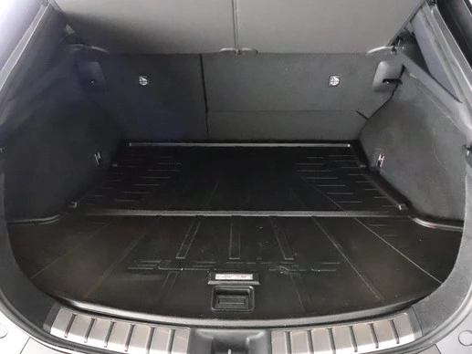 Lexus RZ - Afbeelding 20 van 30