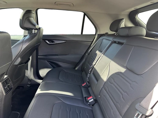 Kia Niro EV - Afbeelding 20 van 30
