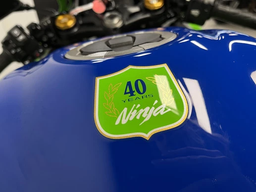 Kawasaki Ninja ZX - Afbeelding 10 van 23