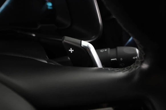 DS DS 7 - Afbeelding 10 van 30