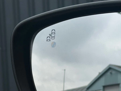 Nissan Leaf - Afbeelding 30 van 30